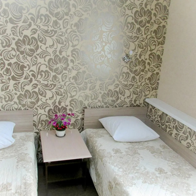 Standard Double room (twin beds)