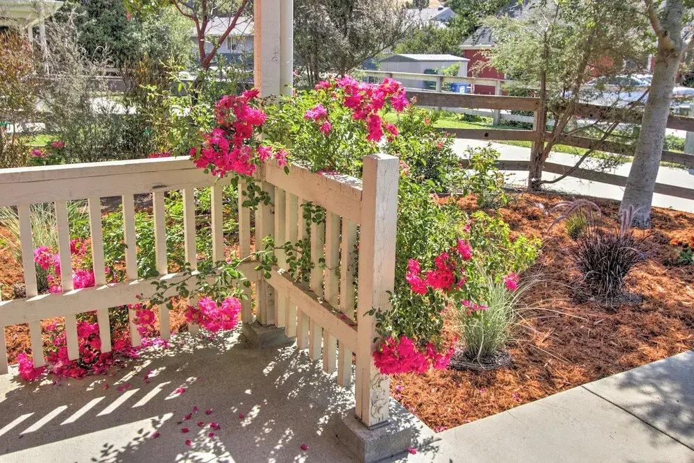 Serene Bungalow-Style Home in Point Reyes Station!