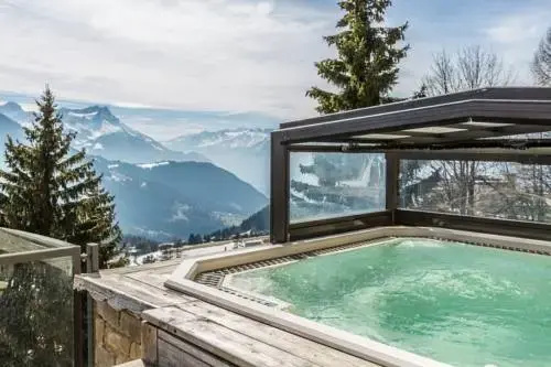 Hotel le Grand Chalet - Général