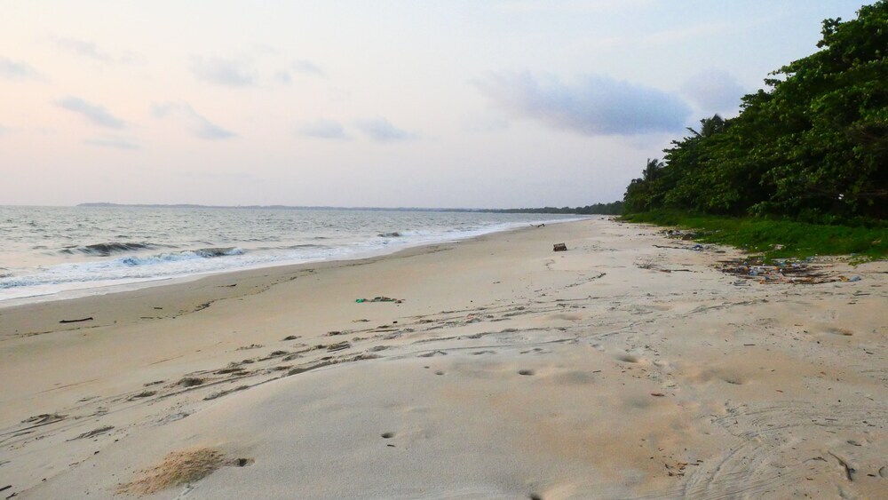 Image 15