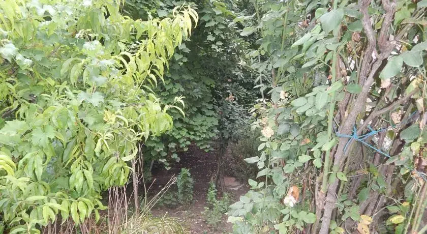 Siram B&b - фото 6