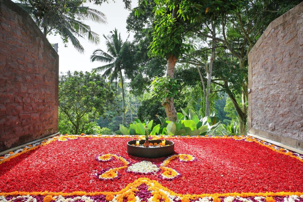 Bucu View Resort