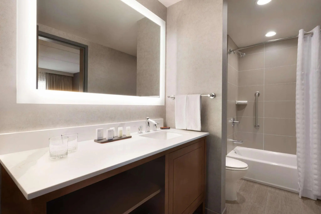 Embassy Suites by Hilton Chicago Naperville - Chambres