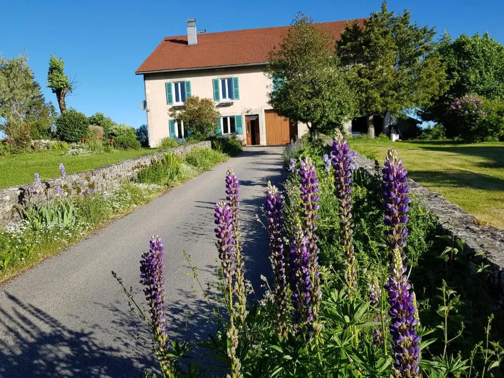 La Pause ô Logis