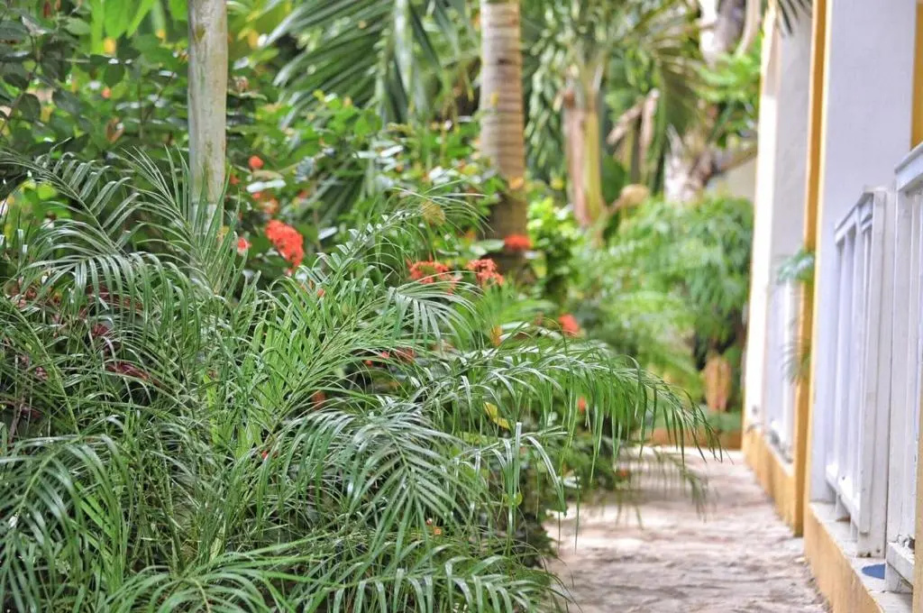 Hotel photo 14