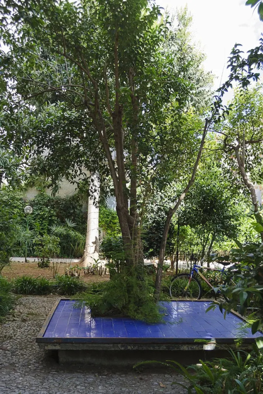 Hotel photo 33