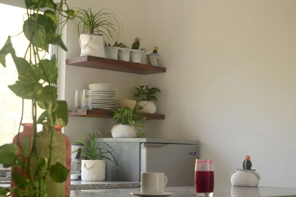 Boho Eco-Chic Boutique Resort - Chambres