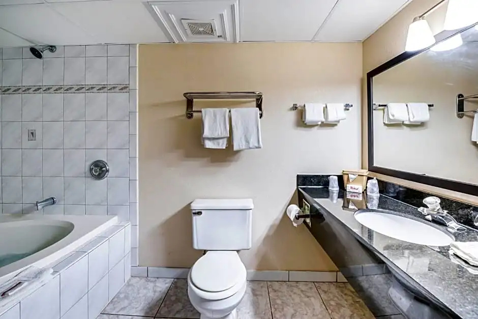 Spark by Hilton Palatine Arlington Heights - Chambres