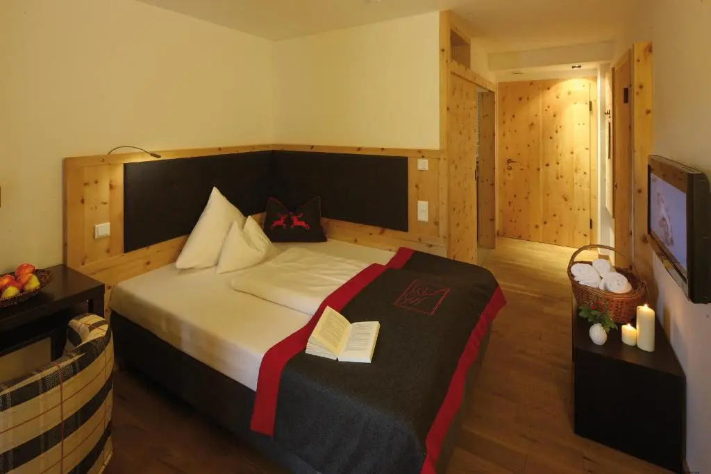 Standard Double room with mountain view (full double bed)