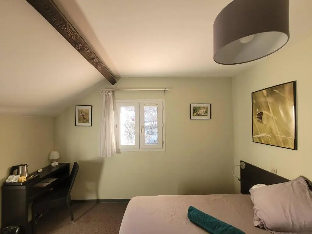 Standard Double room with garden view (twin beds)