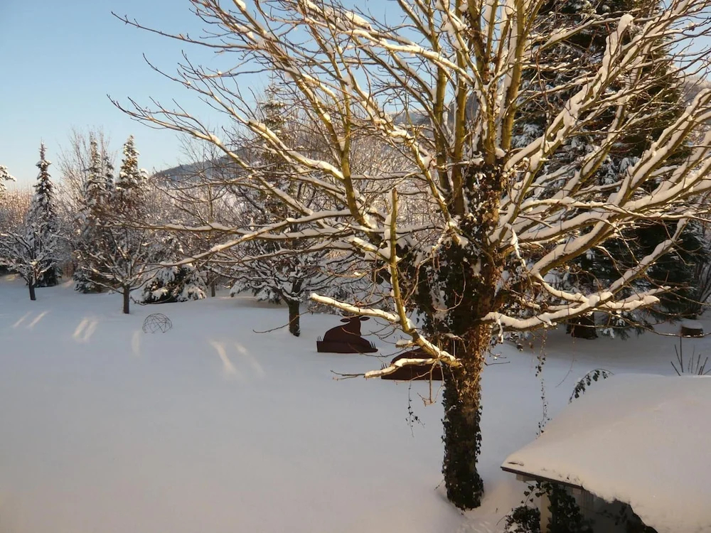 Hotel Scholz - фото 22