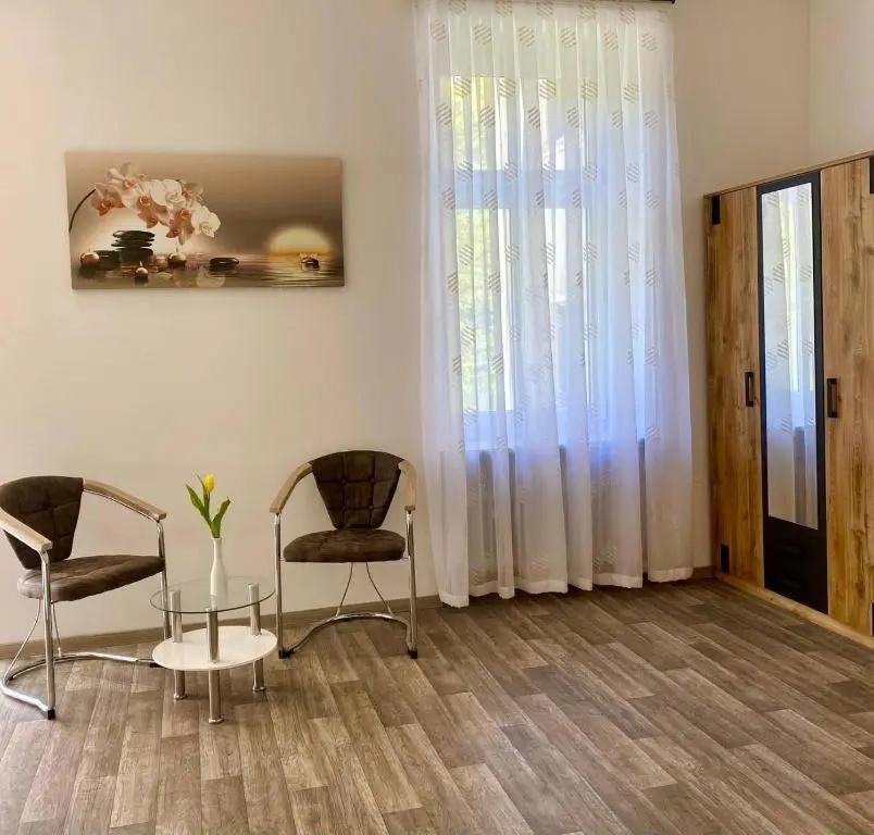 Deluxe Double room (full double bed)