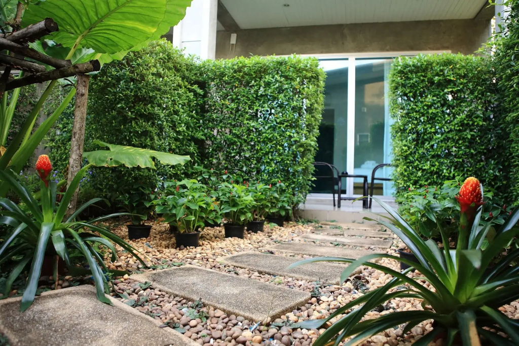 Hotel photo 49