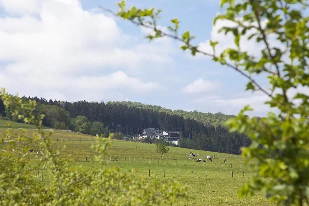 Wald Hotel Willingen - Chambres