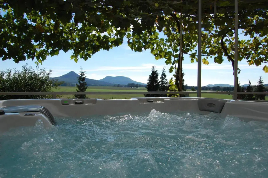 Judit vendégház - фото 15