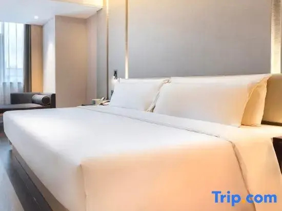 Standard Double room with city view (full double bed)