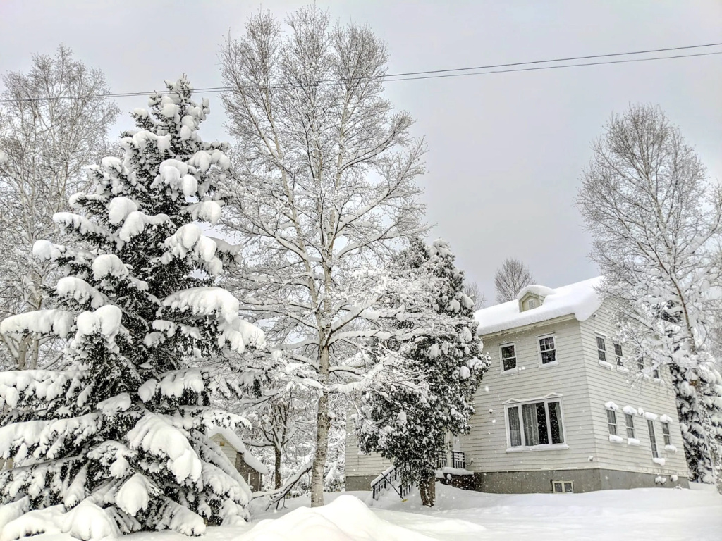 Chalet Banff - 6 bedroom 6 bathroom Ski Lodge 사진 13