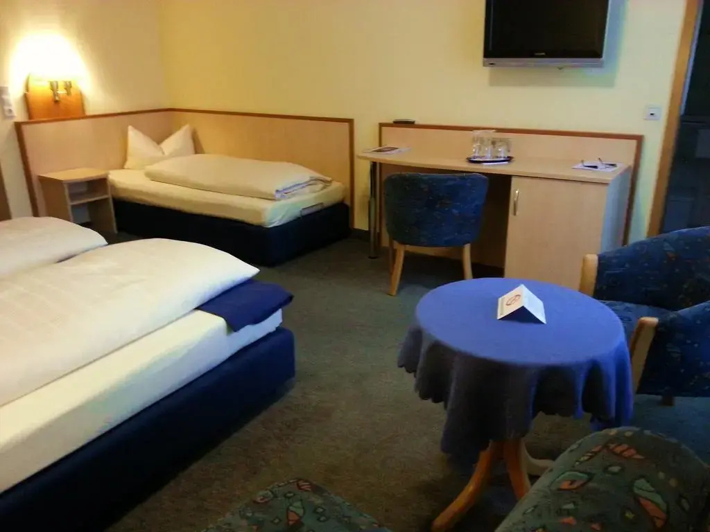 City Partner Hotel Strauss - Général