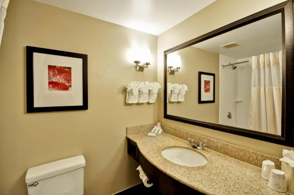Hilton Garden Inn Tampa North Busch Gardens - Chambres