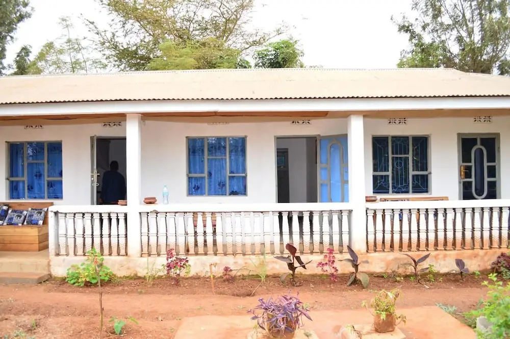 African wagtail hostel