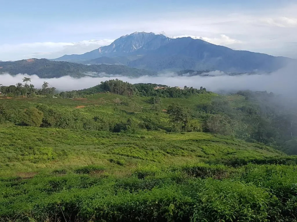 Sabah Tea Garden - Chambres