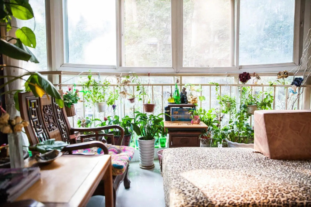 Urban Job Papas Capsule Hostel