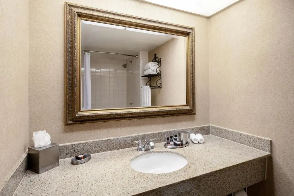 Austin Southpark Hotel - Chambres