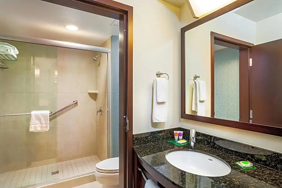 Hyatt Place San Diego/Vista-Carlsbad - Chambres