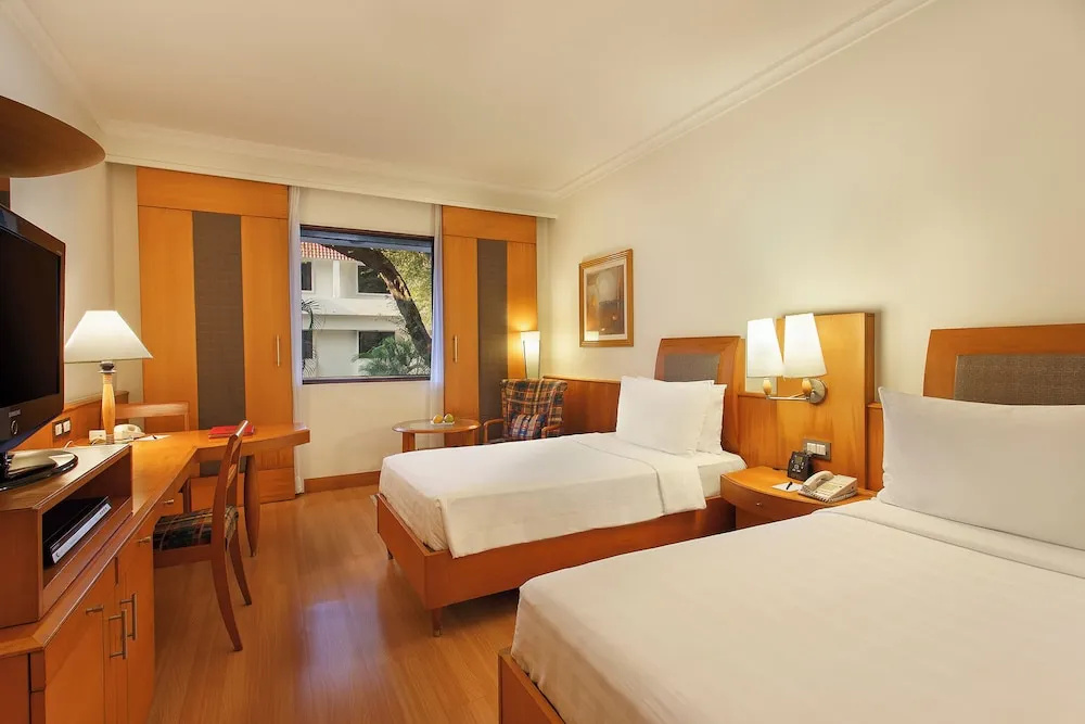 Standard Single Club room (single bed)