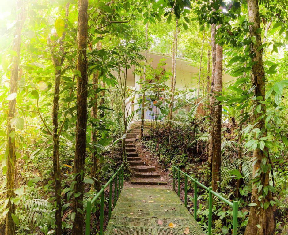 Portasol Rainforest and Ocean View Living