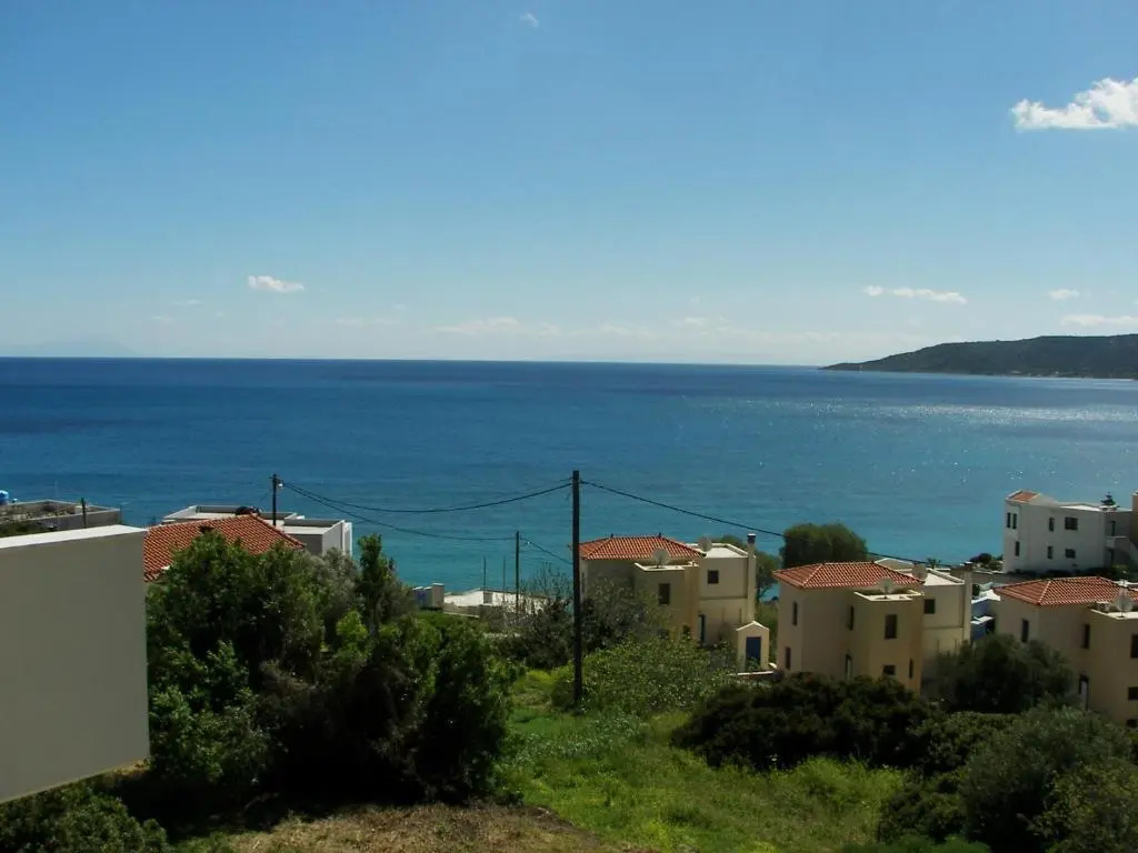 Skinari