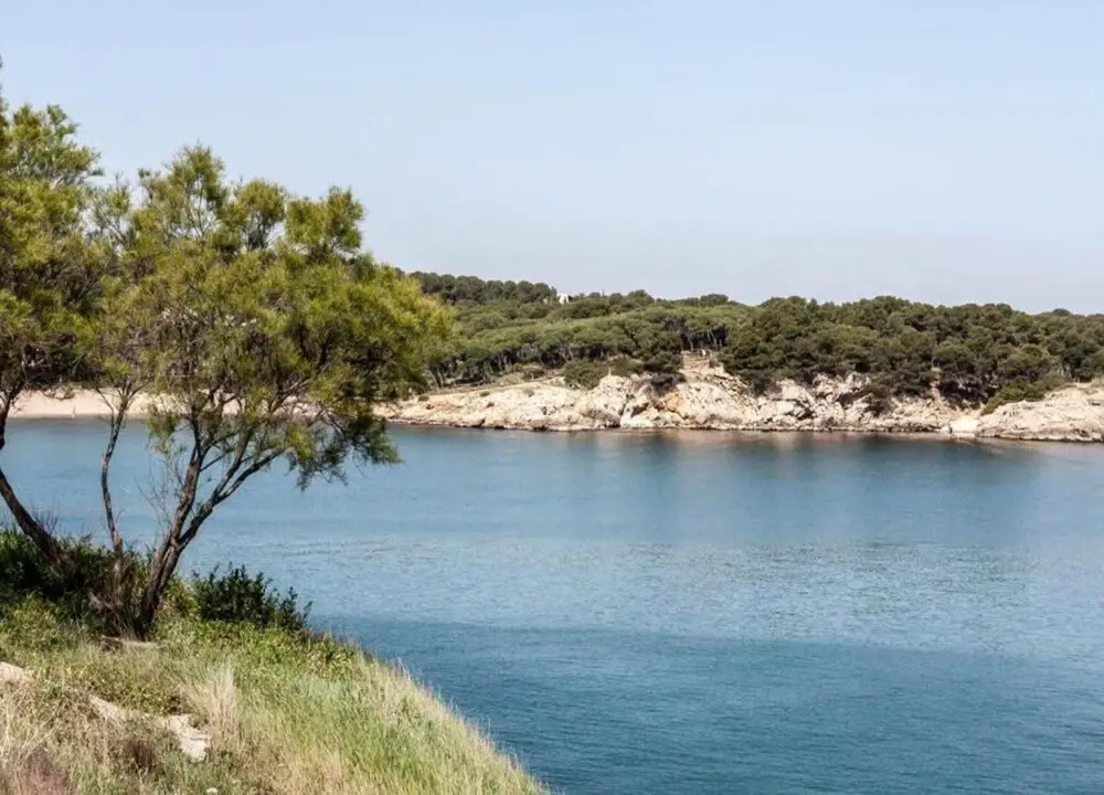 Apartment in Riells Near the Beach