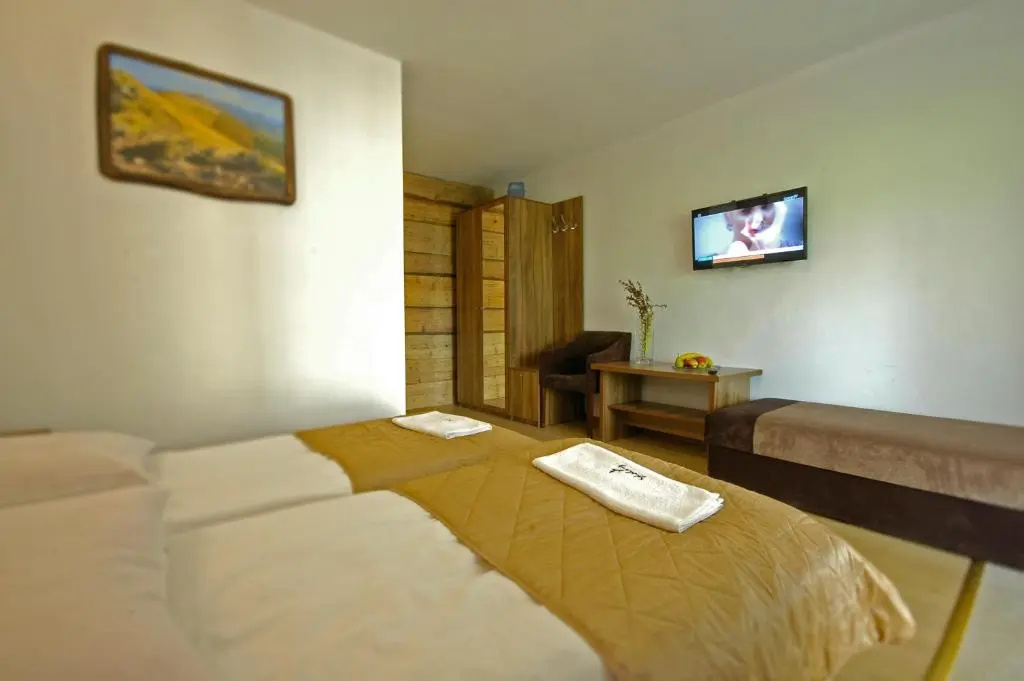 Hotel Skalny Spa Bieszczady - Chambres