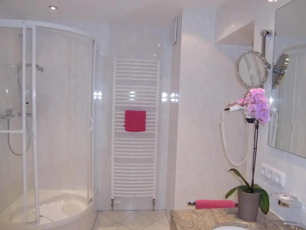 Standard Double room with mountain view (full double bed)