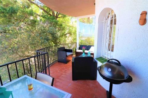 Balcony & Terrace