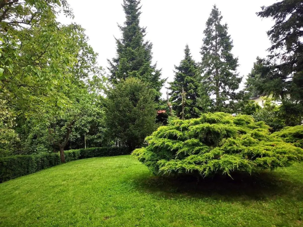 Casa Carla, immersa nel verde dei colli Bolognesi