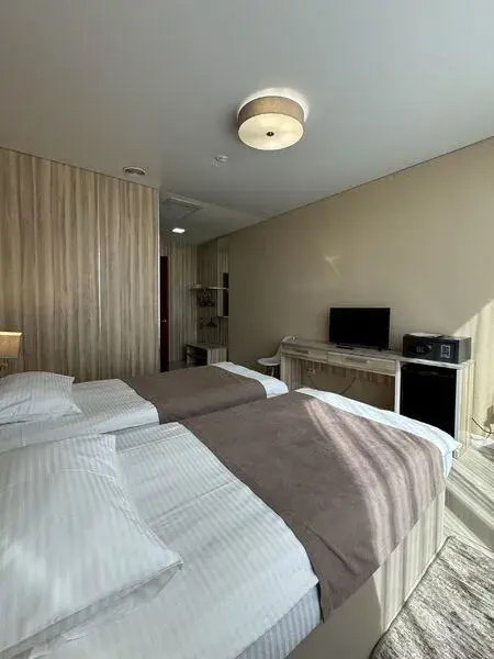 Central Hotel Room Type - Standard Double room twin beds
