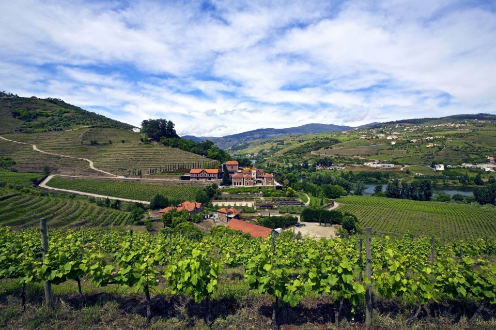 Six Senses Douro Valley picture