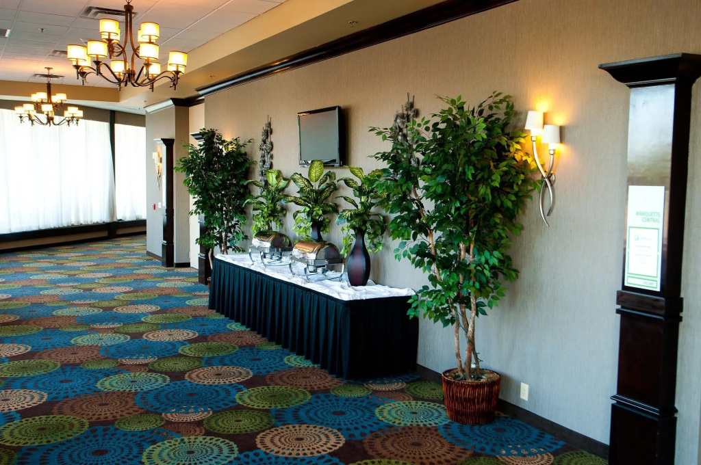 Holiday Inn St. Louis Arpt West-Earth City by IHG - Général