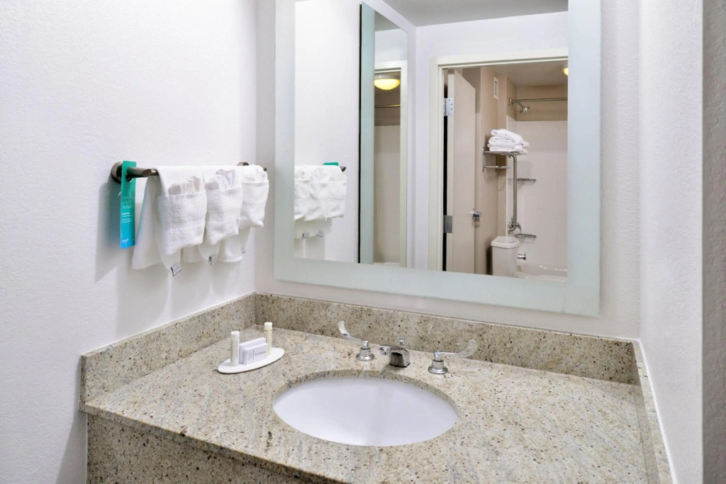 SpringHill Suites by Marriott Fairfax Fair Oaks - Général