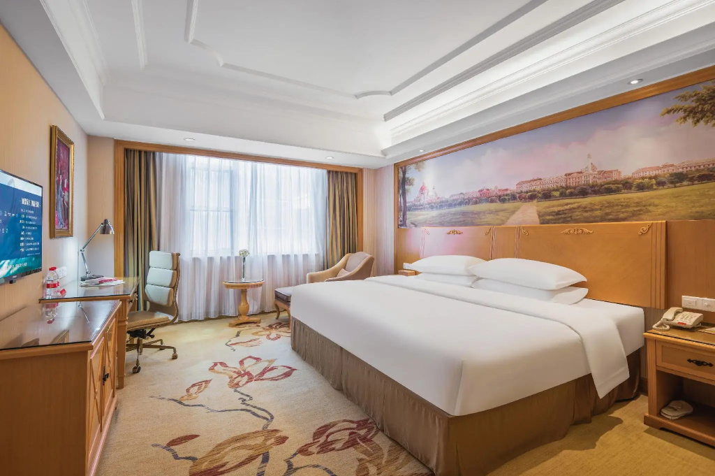 Vienna International Hotel Shenzhen North Station Branch - Général