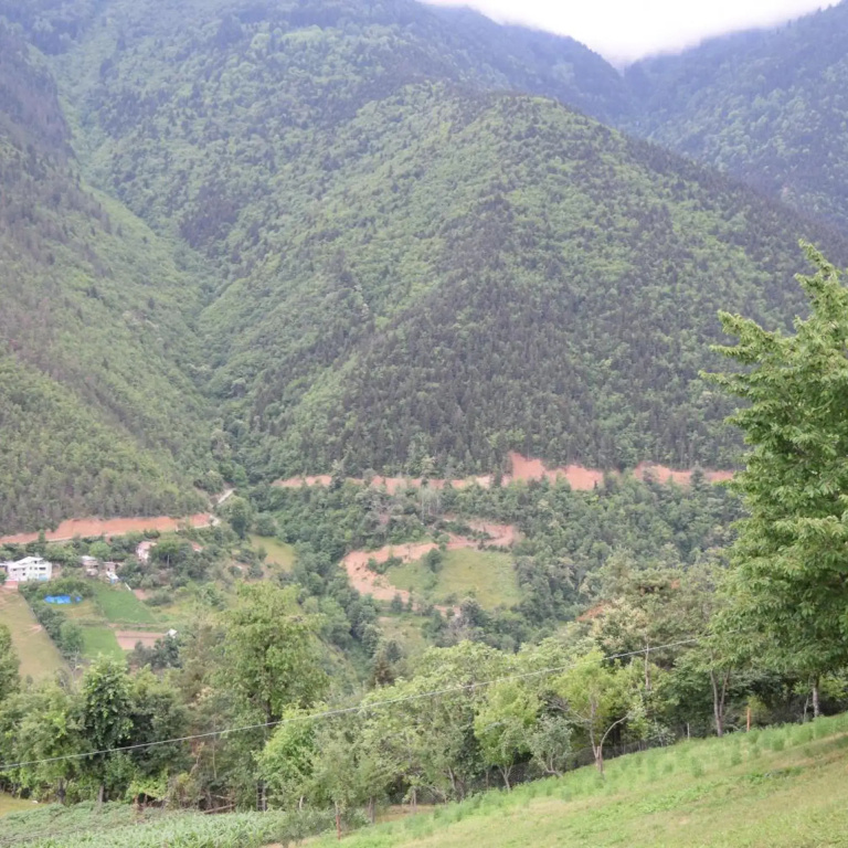 Hotel photo 46