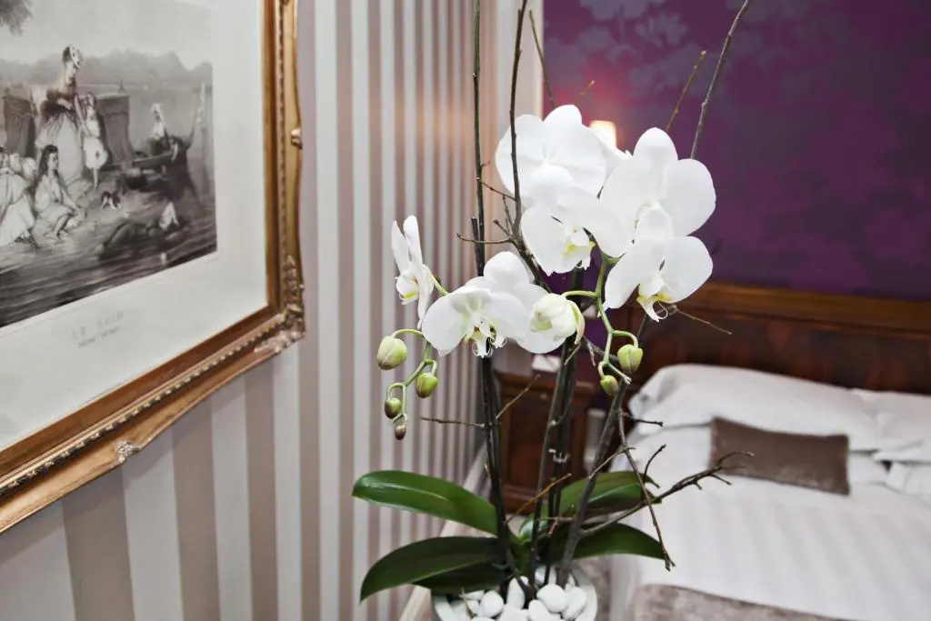 Albergo Terminus Hotel - Chambres