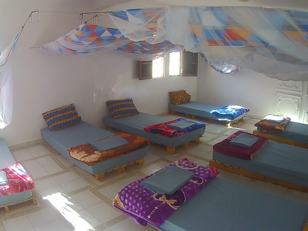 Image 5