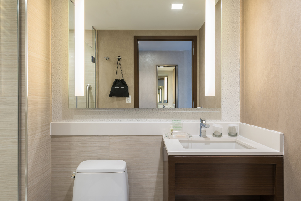 Holiday Inn Brooklyn Downtown by IHG - Général