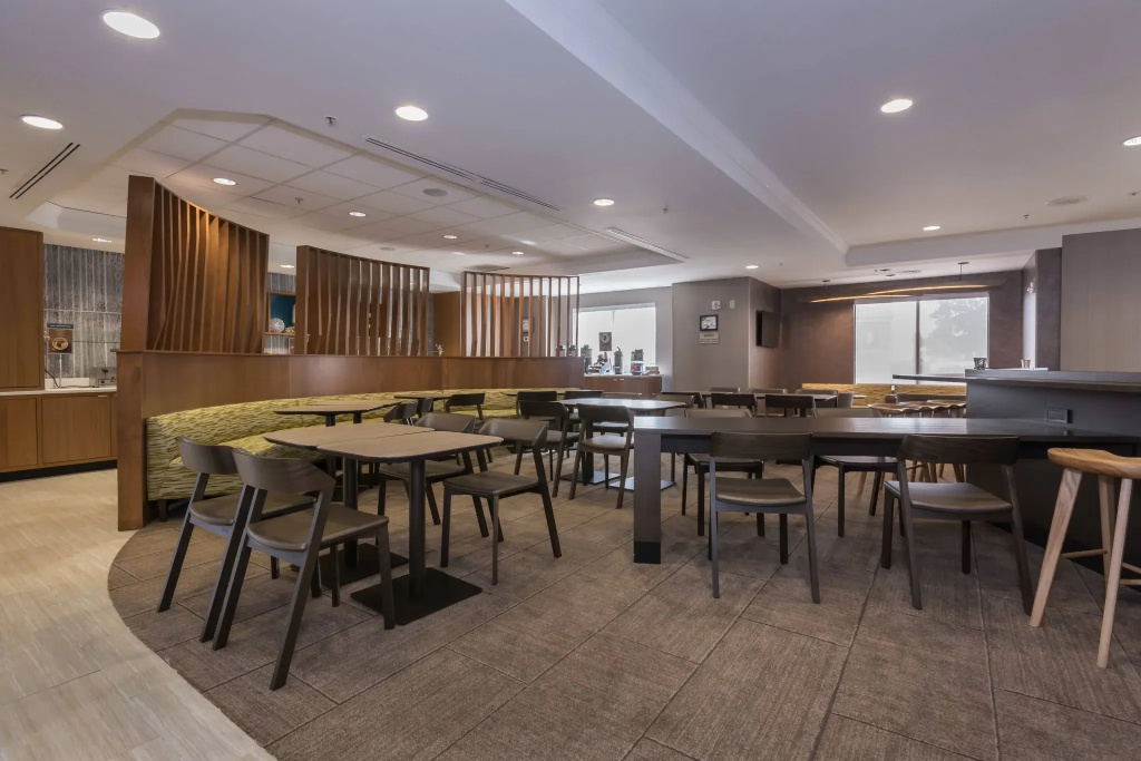 SpringHill Suites by Marriott Charlotte Concord Mills Spdwy - Général