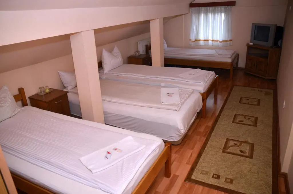 Pensiunea La Palaguta - Chambres