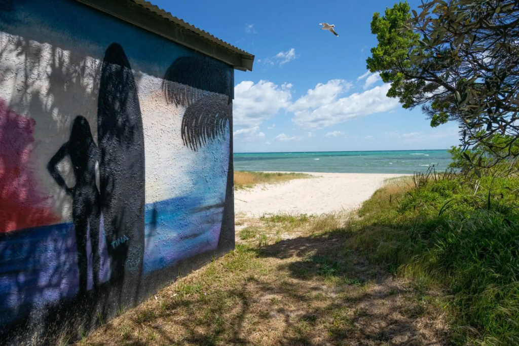 Shore Line