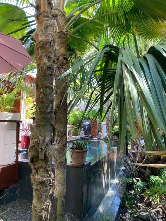 Lodge Palmae - фото 4