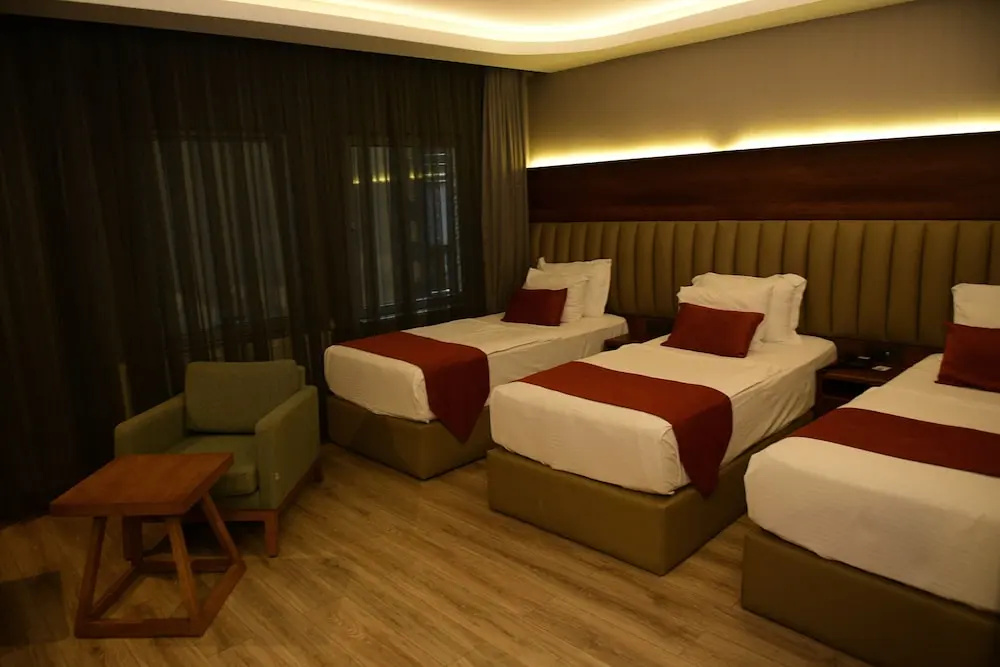 Turizoom Business Hotel & Spa Elbistan - Chambres